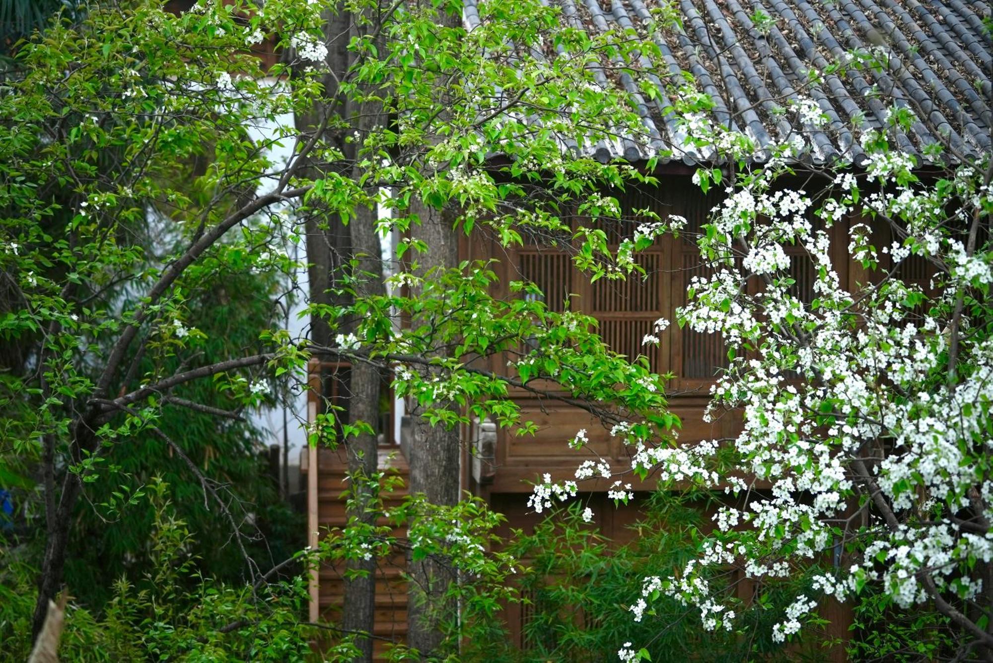吾爱堂 Lägenhet Lijiang  Exteriör bild