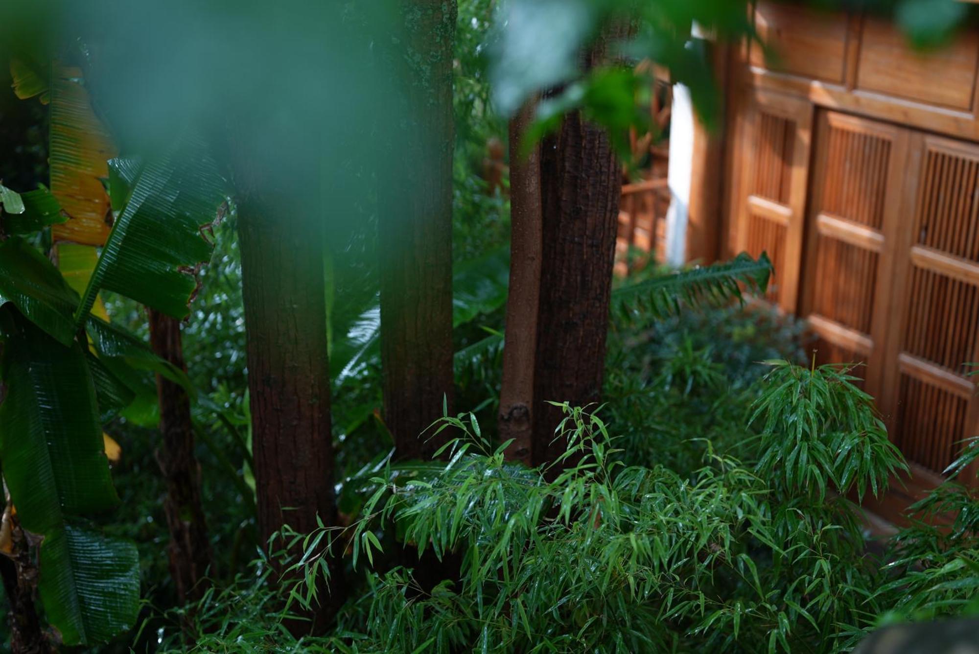 吾爱堂 Lägenhet Lijiang  Exteriör bild