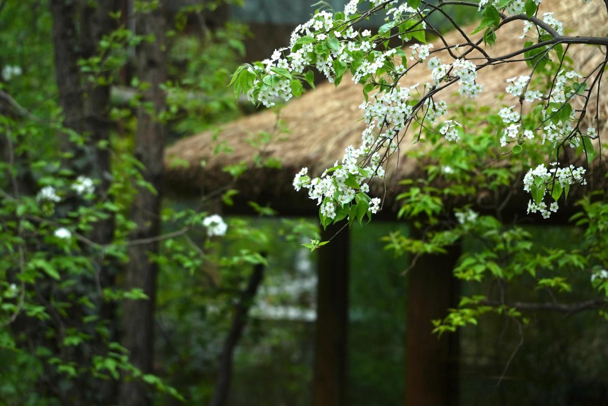 吾爱堂 Lägenhet Lijiang  Exteriör bild