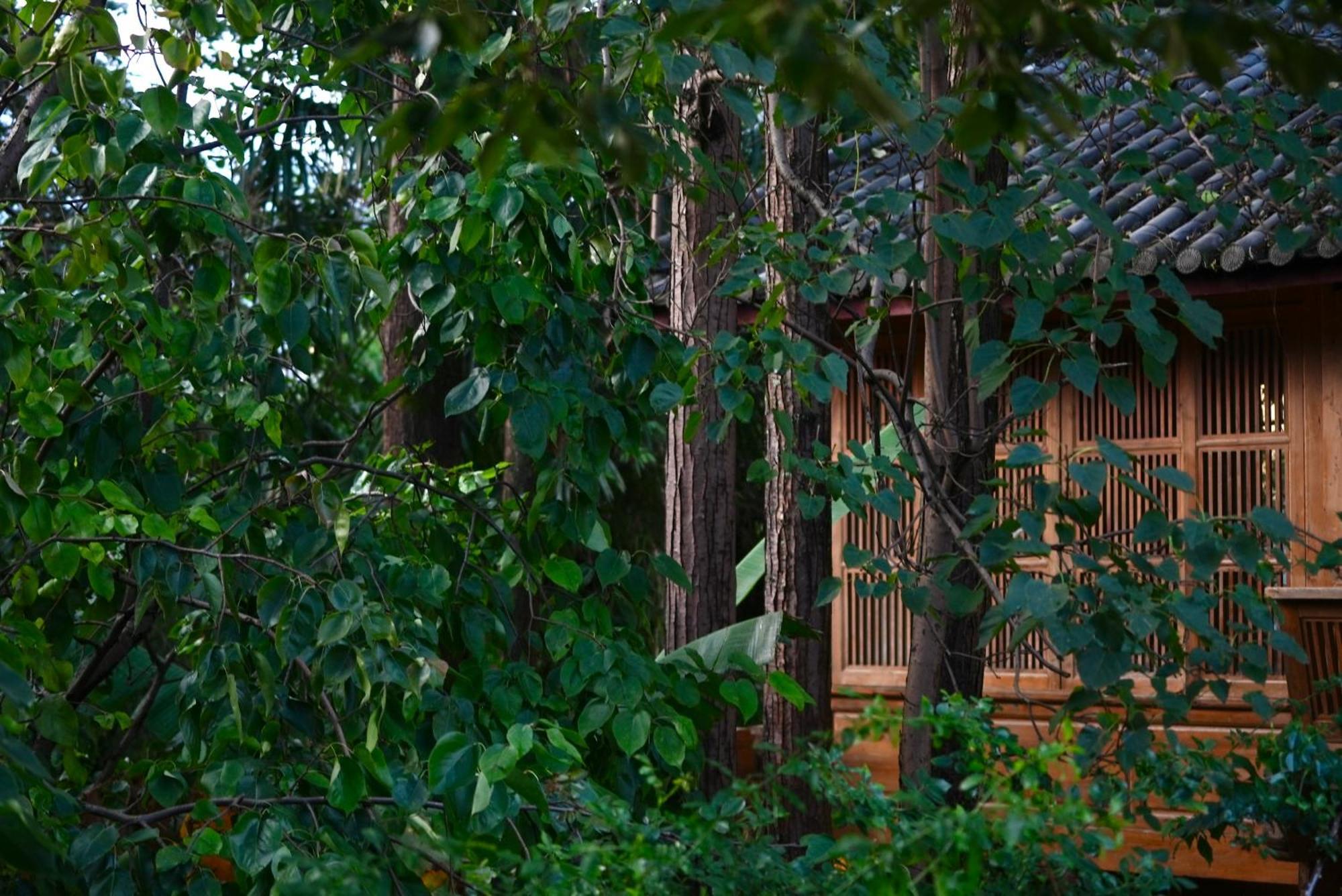 吾爱堂 Lägenhet Lijiang  Exteriör bild
