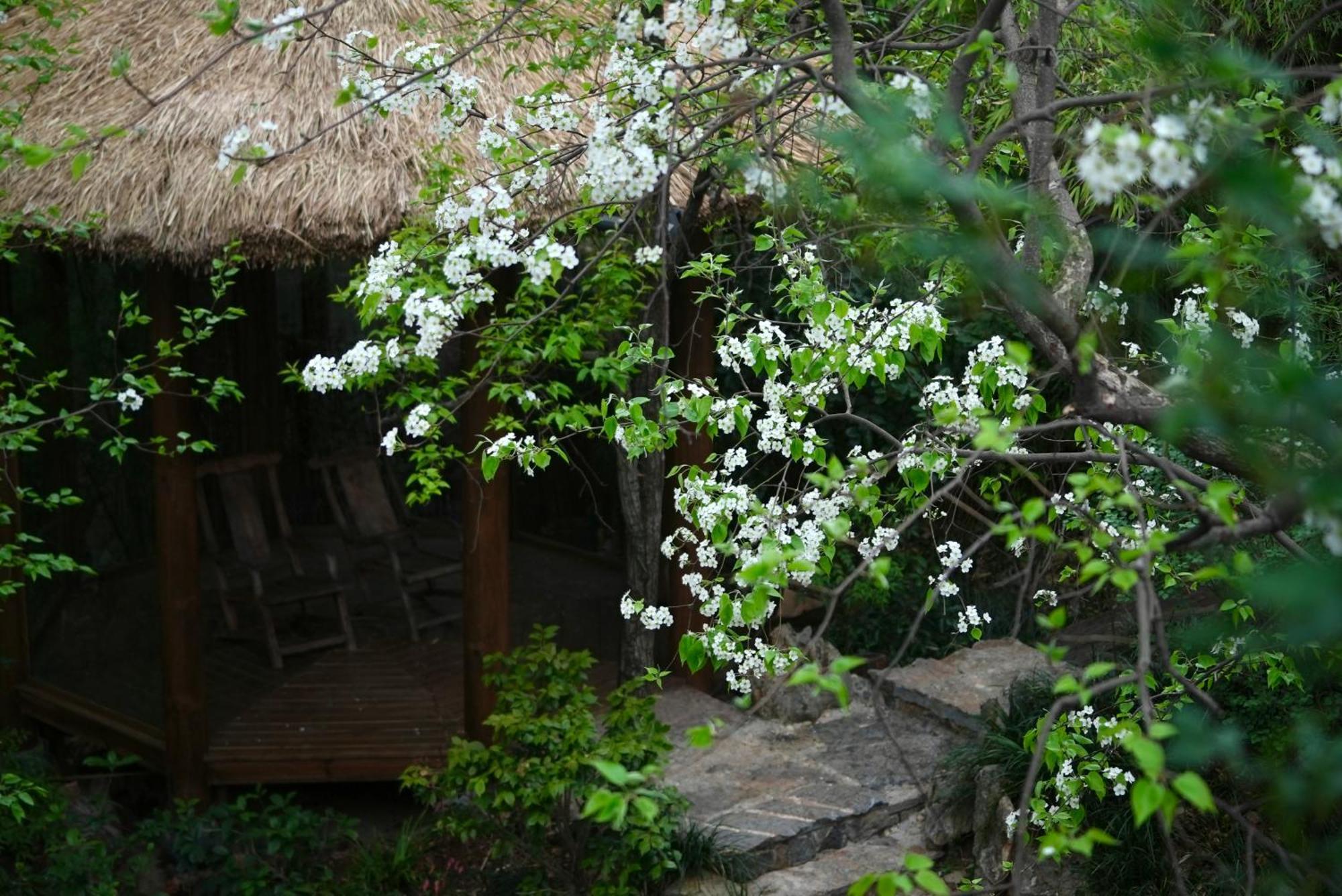 吾爱堂 Lägenhet Lijiang  Exteriör bild